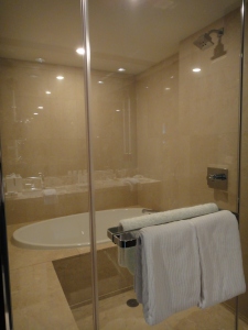 shower and bath tub